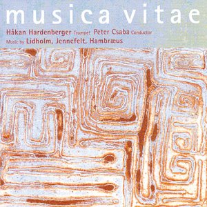 "CD cover with abstract orange and white design, 'musica vitae' title in white text."
