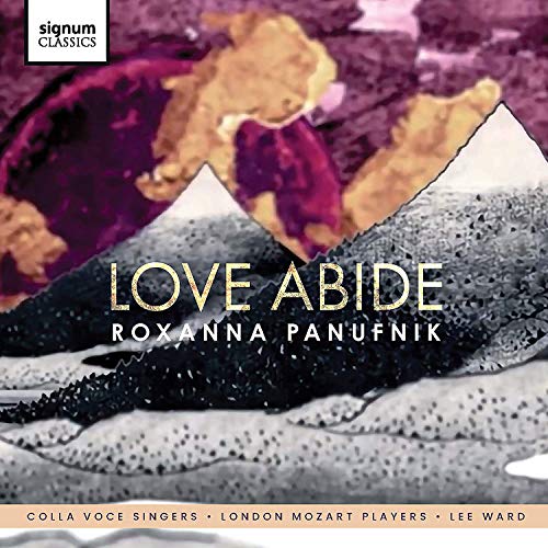 "Album cover with abstract mountain landscape, gold text 'Love Abide' and artist's name."