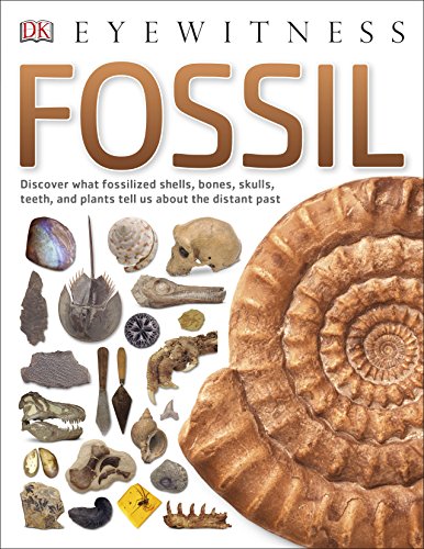 "Book cover with 'Fossil' title, featuring various fossils and a large ammonite shell."