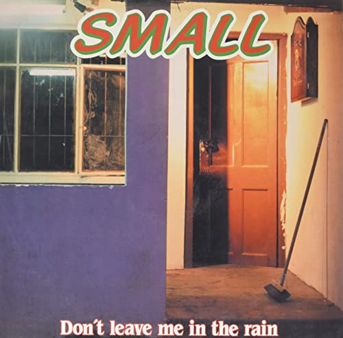 Small - DON'T LEAVE ME IN THE RAIN [VINYL]