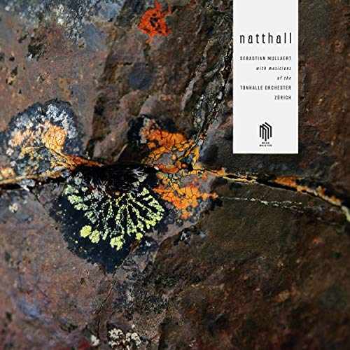 Vinyl album cover with abstract rock texture and white label featuring artist and title.