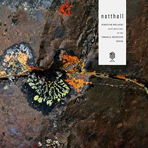 Sebastian Mullaert  Tonhalle O - Natthall [VINYL]