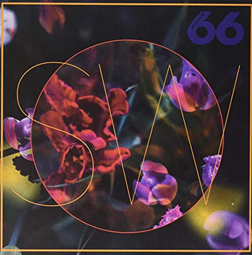 SW. - blewLIPs [VINYL]