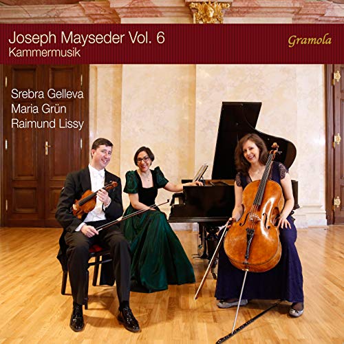 Gelleva/grun/lissy - Joseph Mayseder. Vol. 6 - Kammermusik [CD]