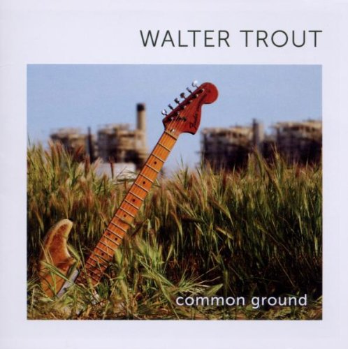 "Guitar leaning in tall grass with industrial buildings in the background, album cover."