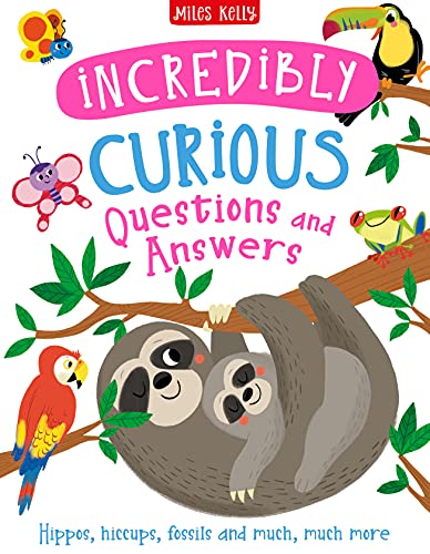 D144HB CURIOUS Q&A INCREDIBLY