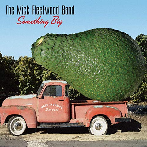 The Mick Fleetwood Band - Something Big [CD]
