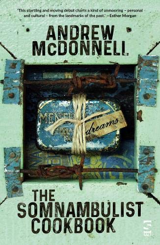 The Somnambulist Cookbook (Salt Modern Poets)