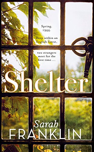 "Book cover of 'Shelter' by Sarah Franklin, featuring a window with a forest view."