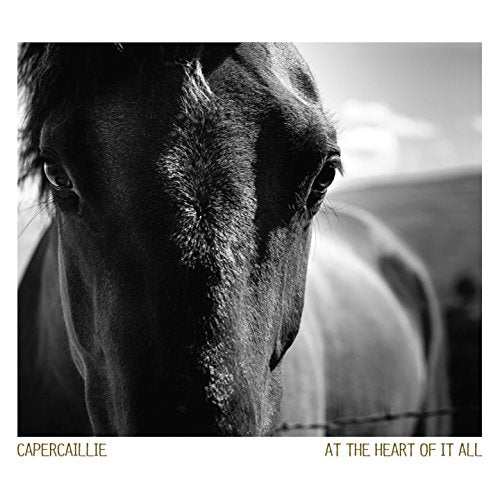 Capercaillie - At The Heart Of It All [CD]