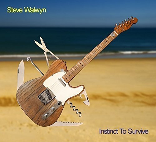 "CD cover with a guitar and parachute against a sunset background, titled 'Instinct to Survive'."