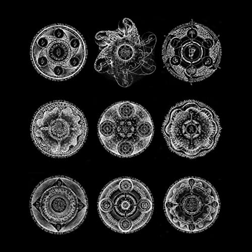 John Zorn & Bill Laswell - Memoria [CD]