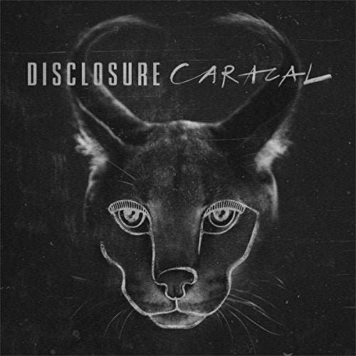 The image is a black-and-white album cover featuring a caracal's face with the title "DISCLOSURE CARACAL".