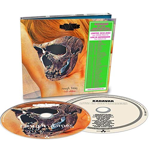 Vinyl record cover featuring a man playing guitar with long hair on a dark background.