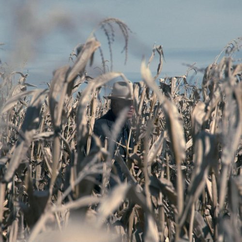 A man in a hat stands among tall, dry corn stalks under a blue sky.