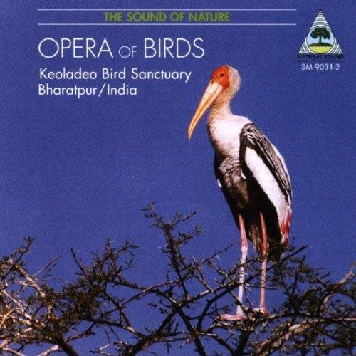 Pannke - Opera Of Birds [CD]
