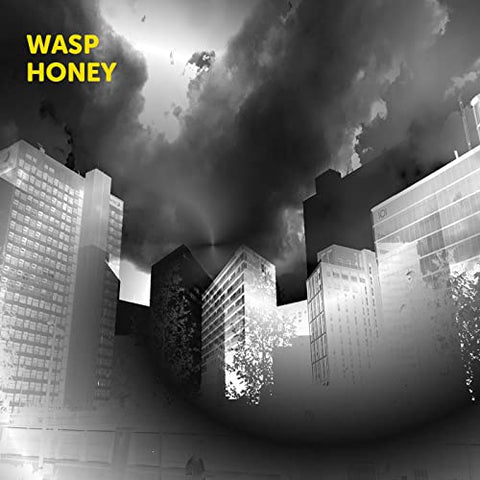 Martin Archer - Wasp Honey [CD]