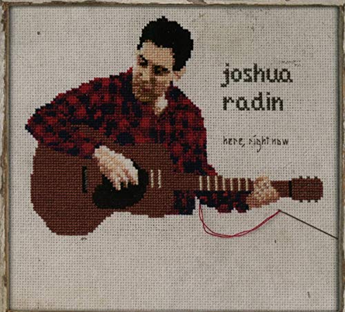 The image depicts a cross-stitched album cover featuring a man playing guitar. Here is a concise, descriptive alt text: "Cross-stitched image of man in red plaid shirt playing guitar, with 'joshua radin here, right now' text."