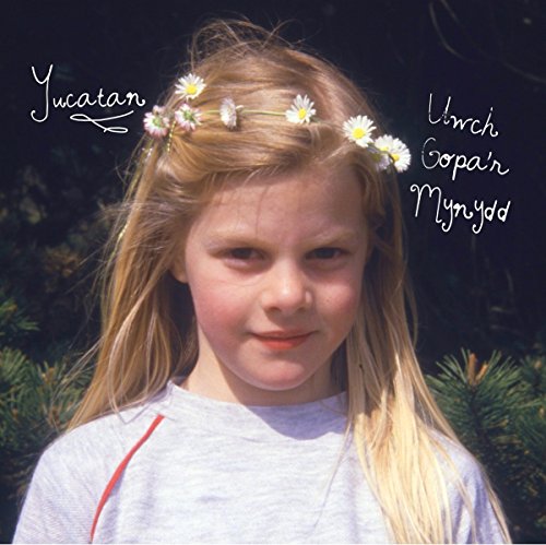 Various - UWCH GOPA'R MYNYDD [VINYL]