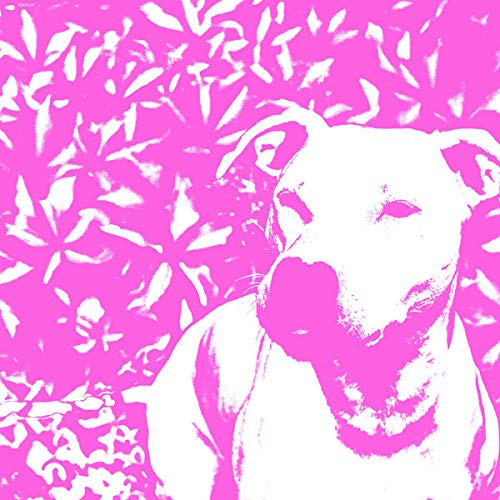 Jenna and the Pups and The HIRS Collective - Split [VINYL]