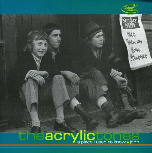 Acrylic Tones, The - A Place I Used to Know [VINYL]