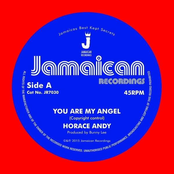 Andy Horace - You Are My Angel / Version [VINYL]