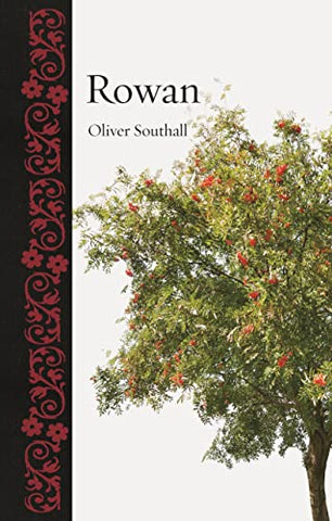 Rowan (Botanical)