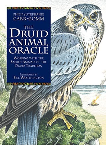 The Druid Animal Oracle: Working with the sacred animals of the Druid tradition