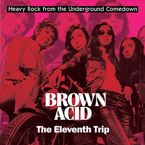 Various - Brown Acid: The Eleventh Trip [VINYL]