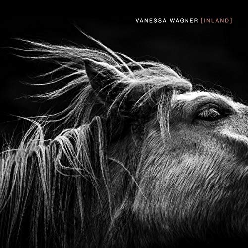 Black-and-white album cover featuring a horse's head with flowing mane against a dark background.