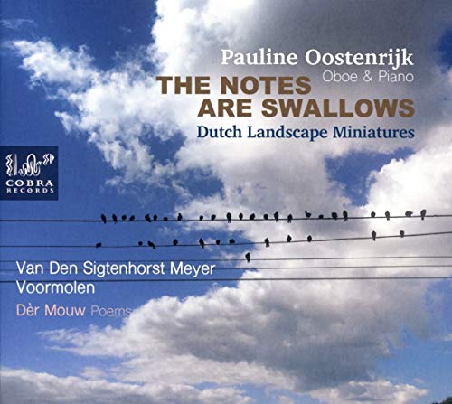 CD cover with blue sky, white clouds, and birds on power lines, featuring text.