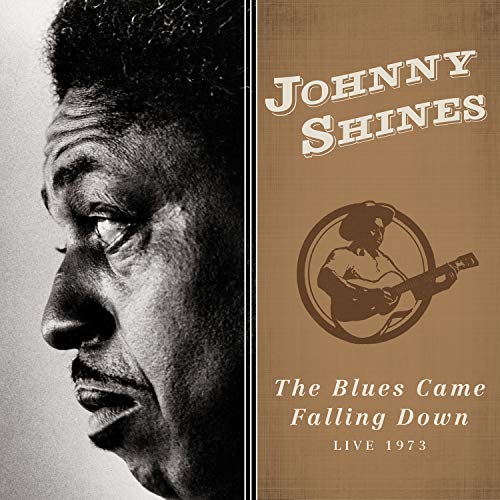 "Album cover with black and white portrait and brown title section with musician silhouette."