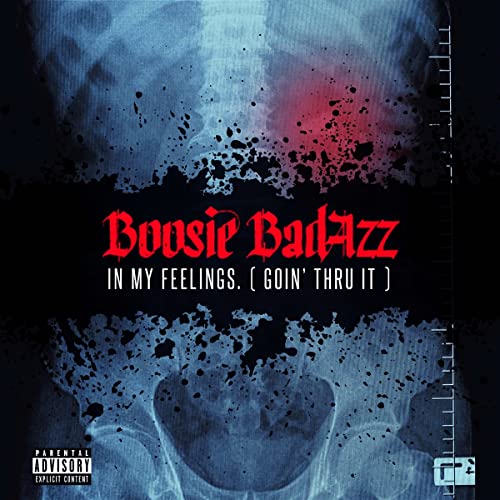 Boosie Badazz - IN MY FEELINGS (GOIN' THRU IT) [CD]