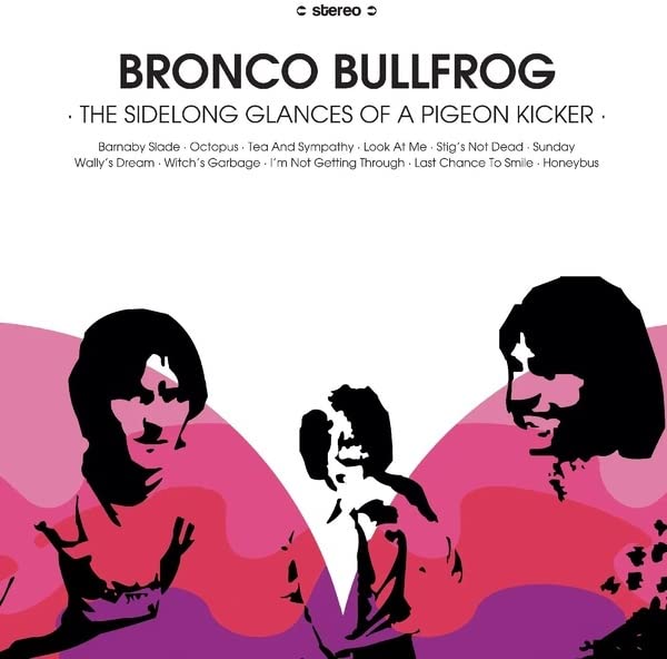 Various - The Sidelong Glances Of A Pigeon Kicker [VINYL]
