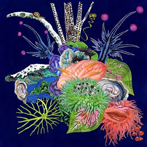 Oo - Touche [CD]