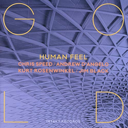 The image is a CD cover for "Human Feel" by Chris Speed, Andrew D'Angelo, Kurt Rosenwinkel, and Jim Black. Alt text: Blue-toned image of a geometric ceiling with yellow text and outlines.