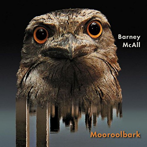 "CD cover featuring a close-up of an owl's face reflected in water."