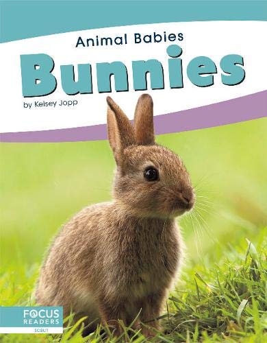 Bunnies (Animal Babies)