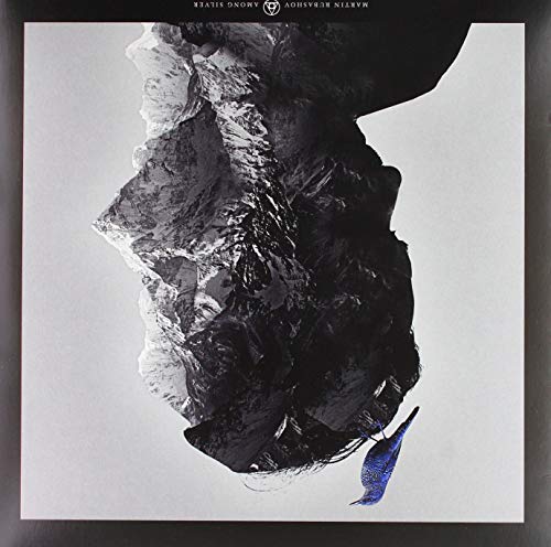 Vinyl record cover with abstract black and white design and blue leaf.