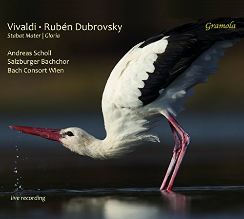 A CD cover featuring a white stork standing in water, wings outstretched.