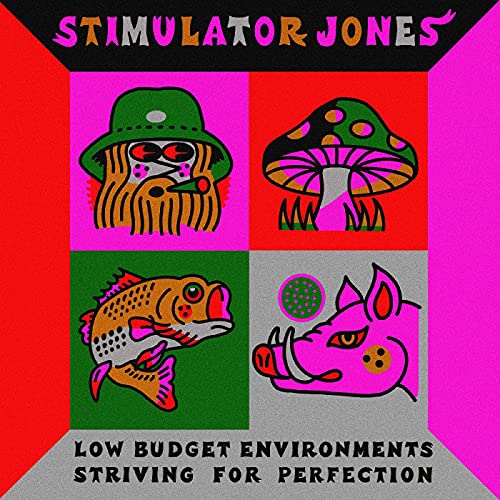 Stimulator Jones - Low Budget Environments Striving For Perfection [VINYL]