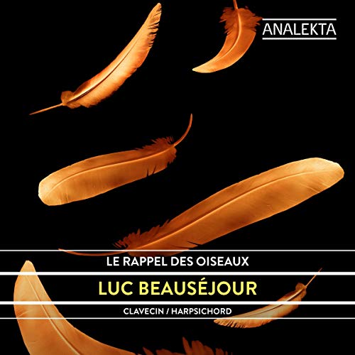 "CD cover with golden feathers on a black background, featuring text and artist name."