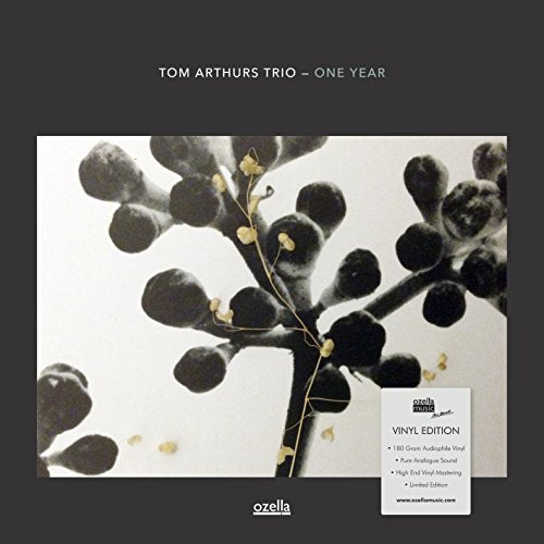 "Album cover with a black and white plant image on a dark grey background."