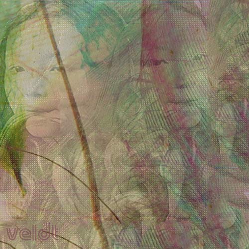 The image is an abstract, multi-colored album cover with the word "veldt" in the bottom left corner. For accessibility purposes, a suitable alt text could be: "Abstract album cover with pastel colors and the word 'veldt'."