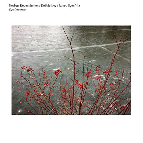 Rodenkirchen Norbert/robbie Le - Opalescence [CD]