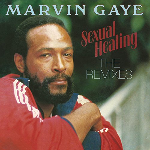 Marvin Gaye - Sexual Healing: The Remixes [12"] [VINYL]