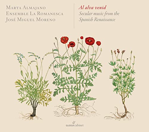 Marta Almajano/paolo Pandolfo/ - Al Alva Venid [CD]