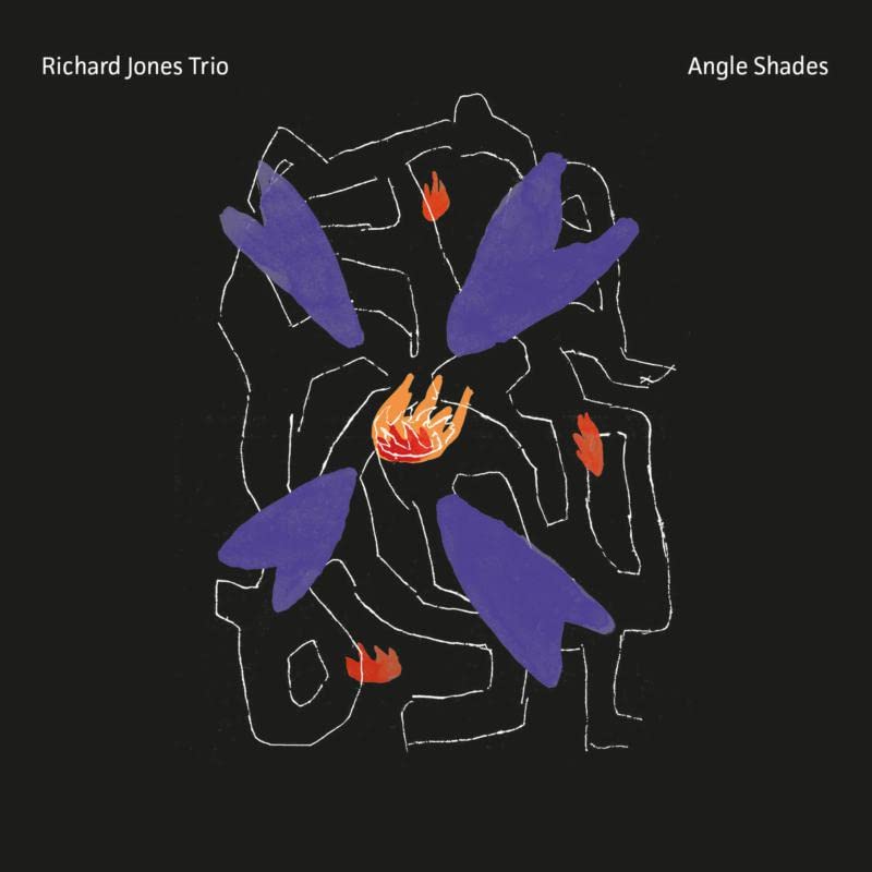 Richard Jones Trio - Angle Shades [CD]