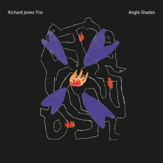 Richard Jones Trio - Angle Shades [CD]