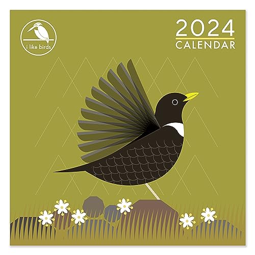 2024 I Like Birds Square Wall Calendar Month To View